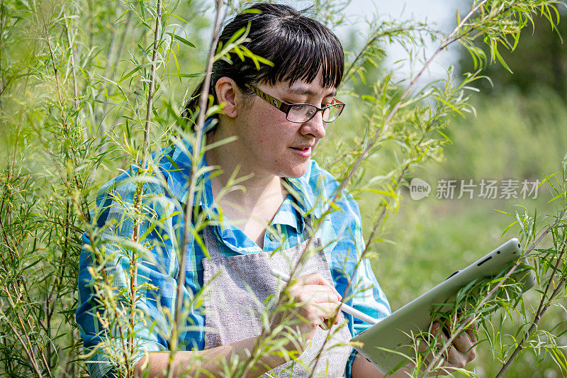 “捕捉湿地宁静:多元文化园丁通过数字发现参与自然。