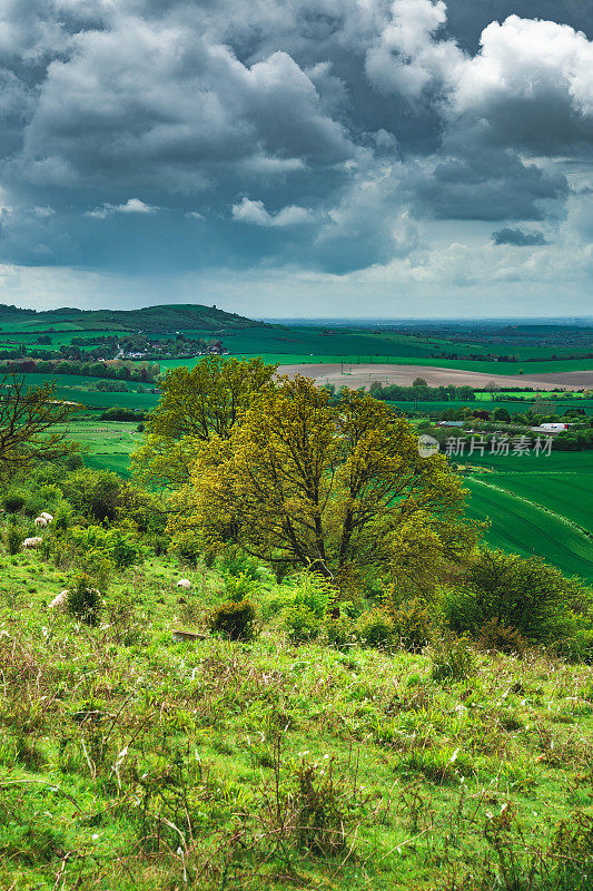 英国邓斯特布尔唐斯，夏天阴天从山上看到的英国风景