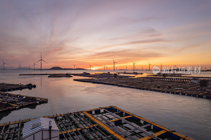 夕阳下漂浮在海上的水产养殖场