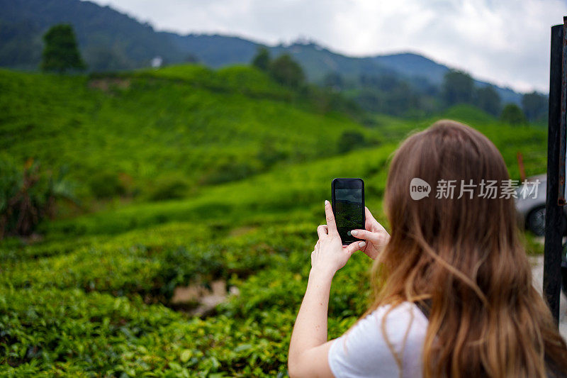 年轻女游客在马来西亚金马仑高地拍摄茶园