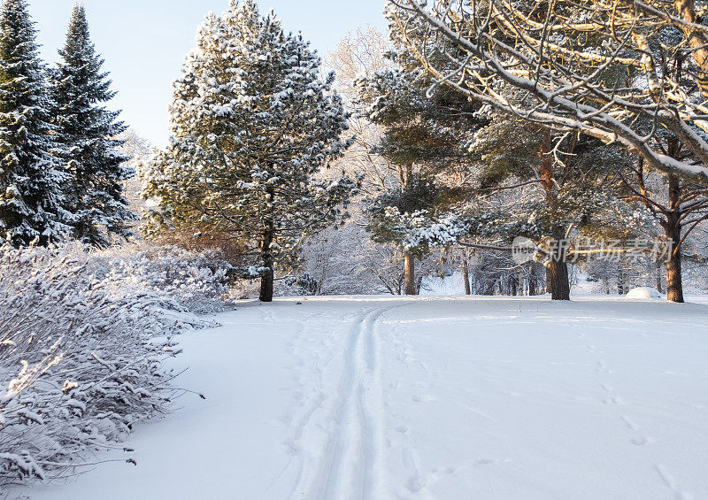 冬天的景色，城市的公园和树木被白雪覆盖，雪道铺设在雪地里。