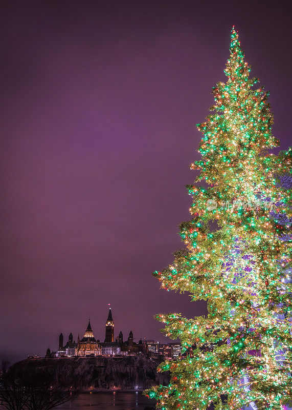 加拿大渥太华，加蒂诺，国会山上，被照亮的节日圣诞树