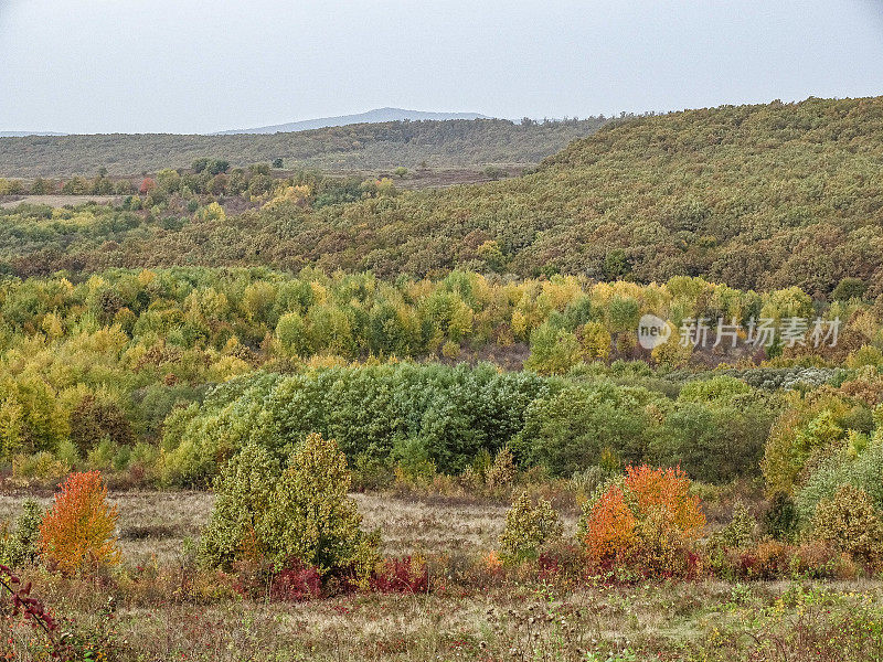 秋天的罗马尼亚风景。秋天的颜色