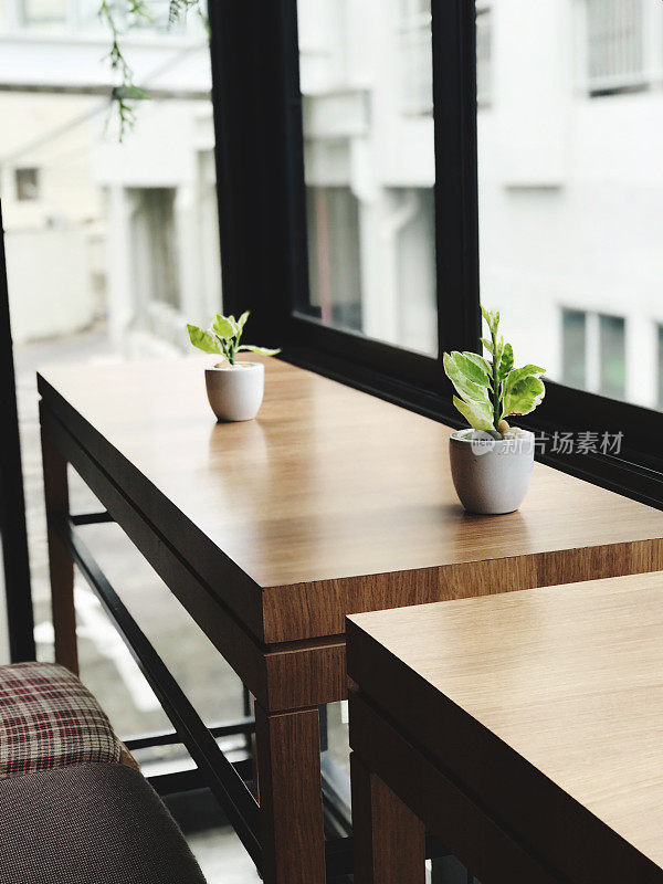 咖啡馆里的木桌子上有绿色植物装饰，库存照片