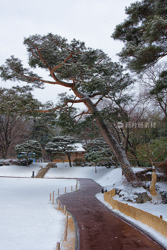 首尔的下雪天