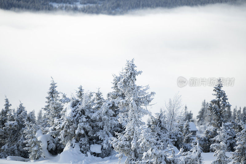 从挪威Kvitfjell高山滑雪胜地的滑雪坡上观看