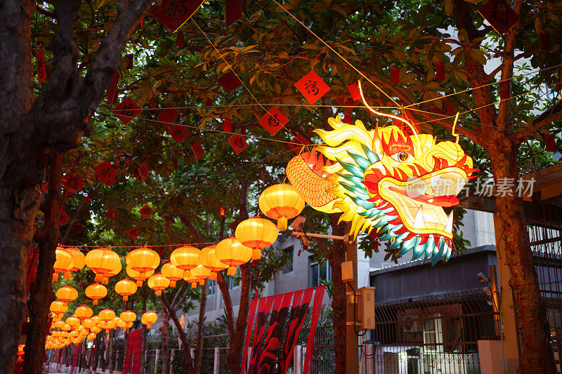 中国新年装饰龙形灯笼