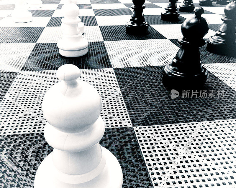 棋盘上的大型户外棋子(棋子)