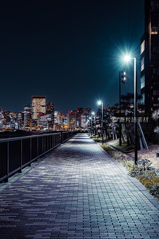 东京有久北运河公园渔场的夜晚