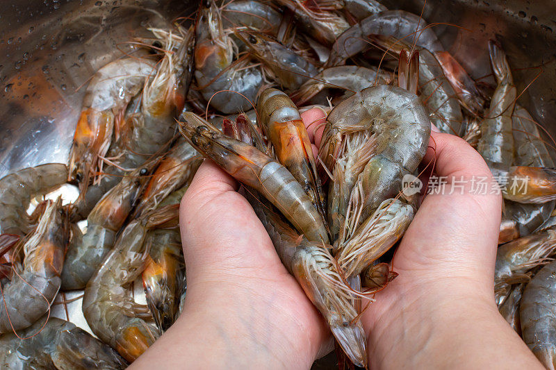一个人拿着一堆虾，虾是世界上许多菜系的主食