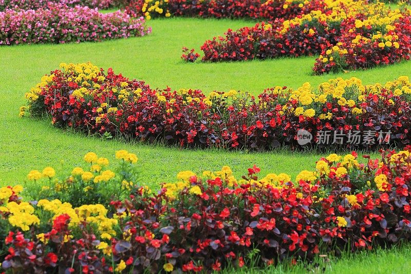 在Stadtpark，维也纳的观赏园和花坛细节