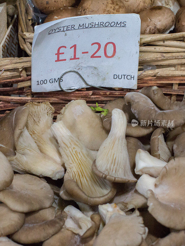 伦敦博罗市场的牡蛎蘑菇