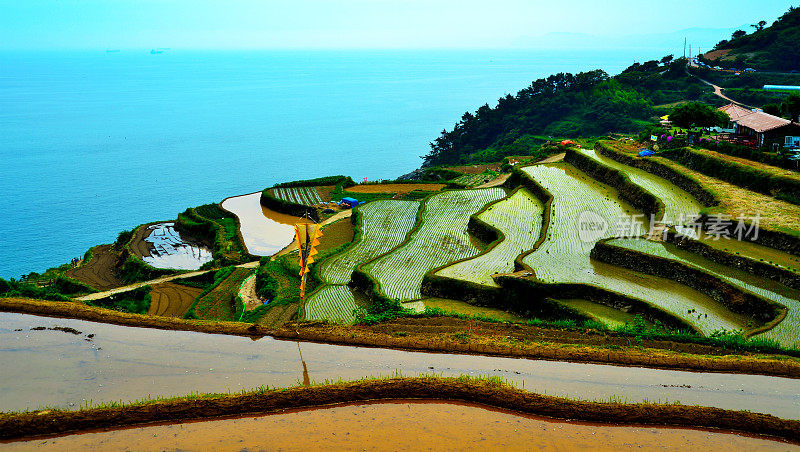 南海梯田