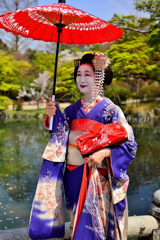 日本女人在Maiko的服装和发型享受京都的春天