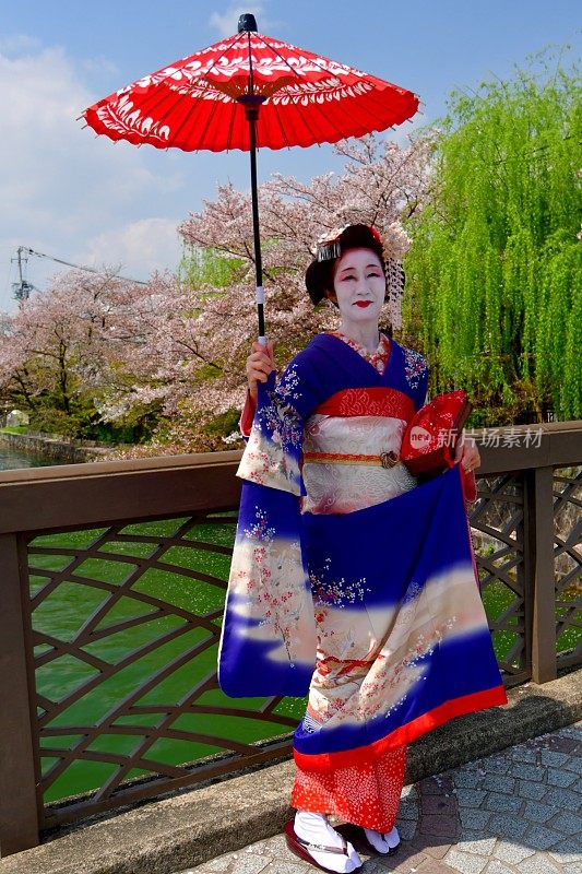 穿着美子服饰的日本女人在京都的桥上欣赏樱花