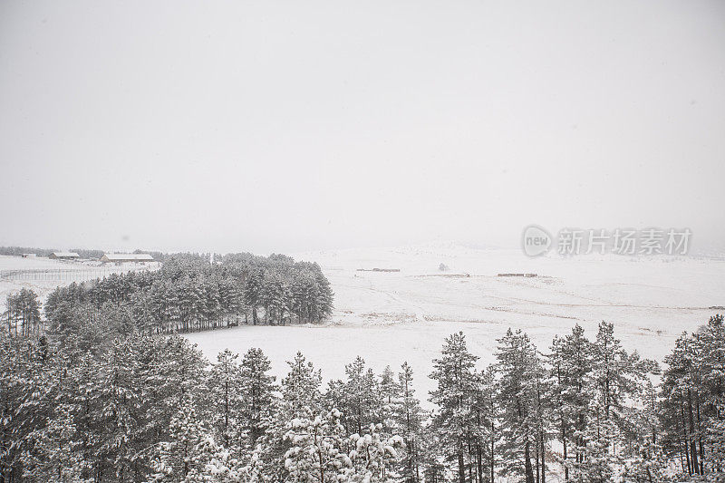 下雪的冬天