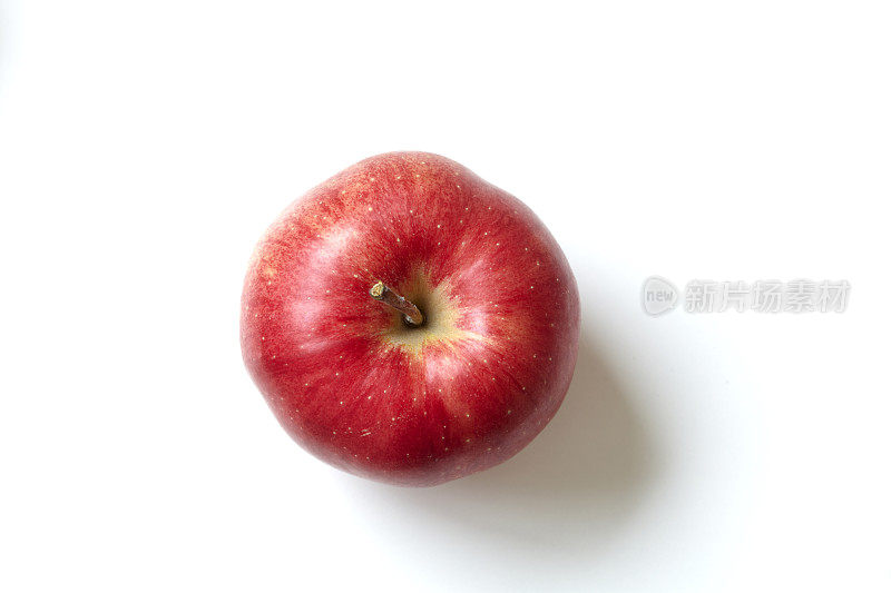 单瓣红金苹果