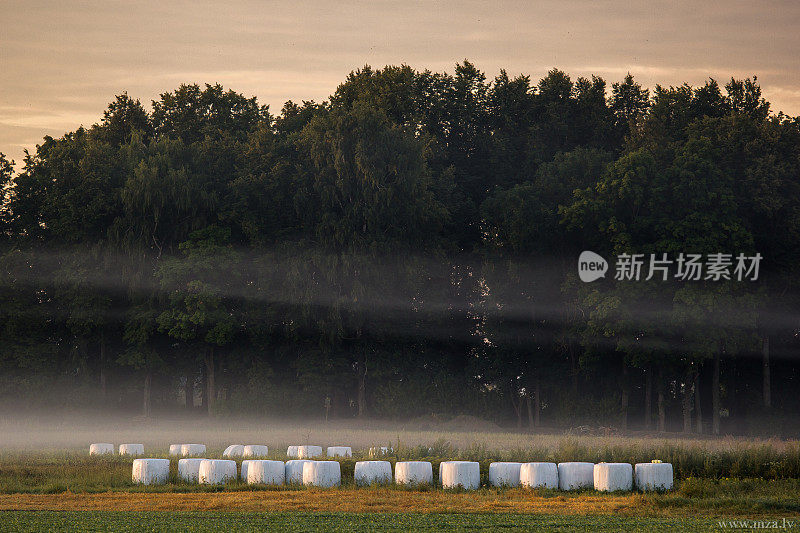 雾气弥漫的早晨，稻草卷