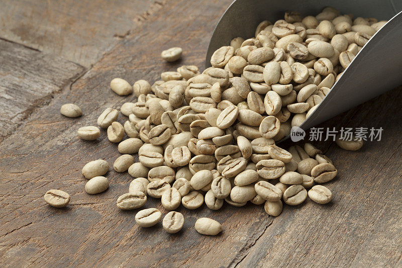 印度马拉巴尔生咖啡豆