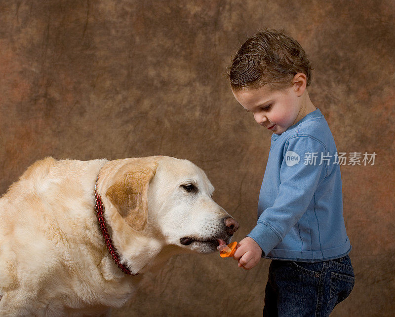 蹒跚学步的孩子和他的狗分享奶嘴。