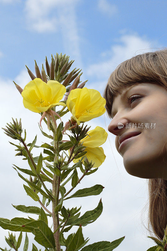 拉脱维亚的花童，开黄色的月见草