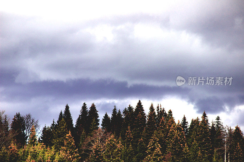 暴风雨的乌云