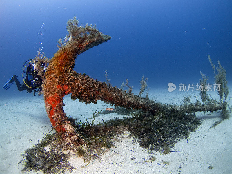 水肺潜水员和锚