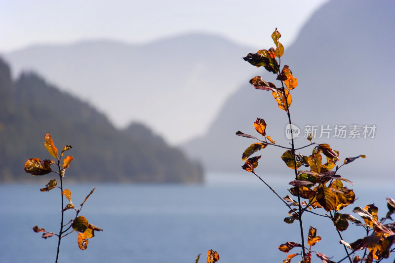 Autum大气层