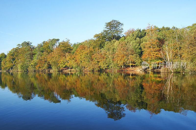 秋天的湖边场景