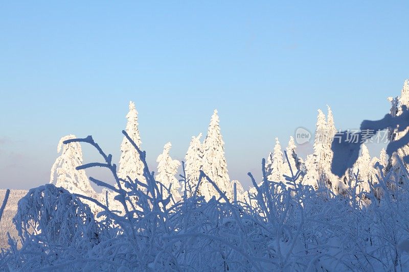 阳光winterday