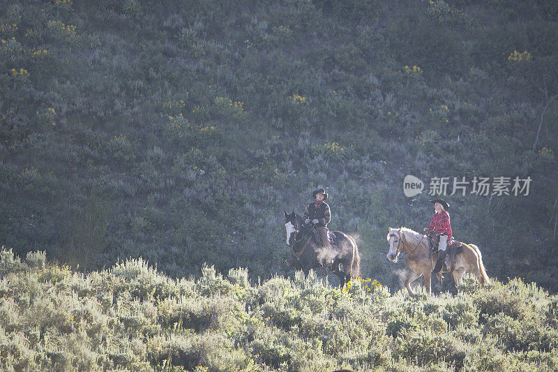 骑在蒙大拿州的山上