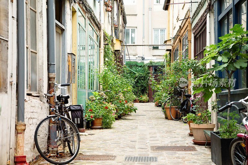 有盆栽和自行车的巴黎小巷