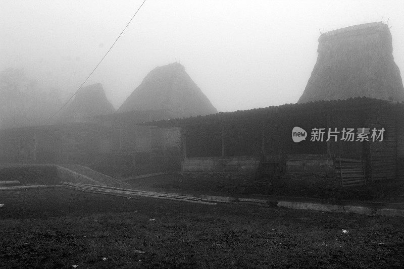 印度尼西亚:Wogo山部落村