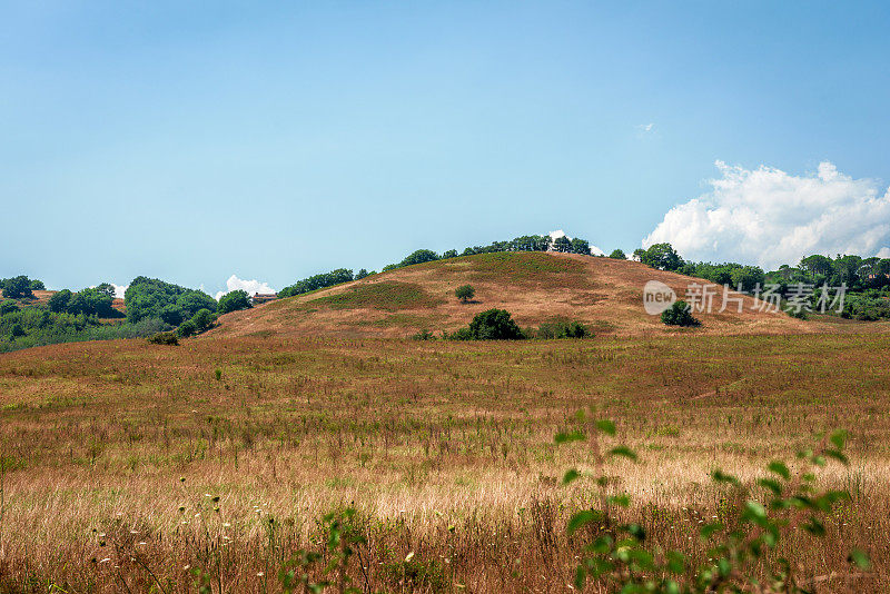 意大利乡村,托斯卡纳