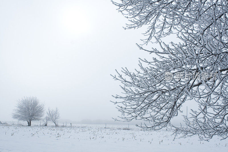 雪景