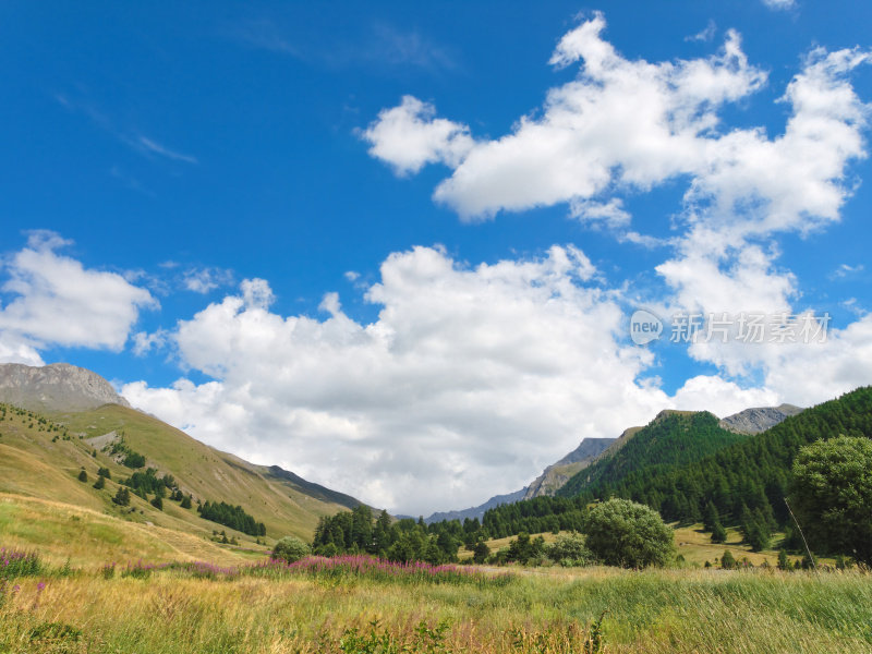 夏季的高山景观