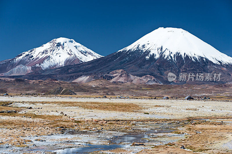 智利劳卡国家公园的帕里纳科塔火山