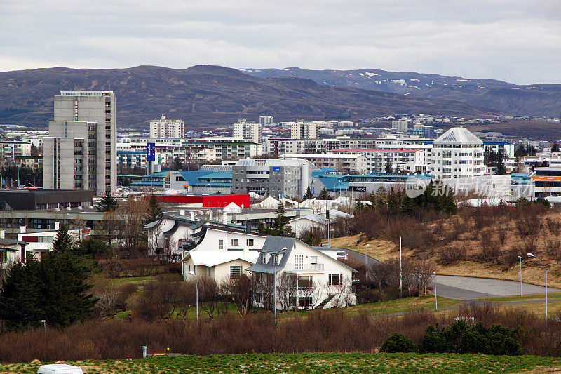 冰岛:普兰岛的雷克雅未克全景