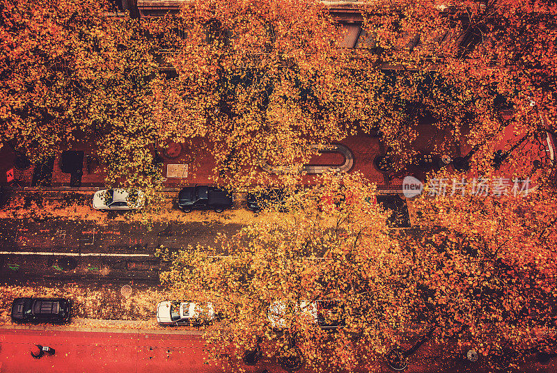 鸟瞰图，城市城市街道，秋叶变红，橙色