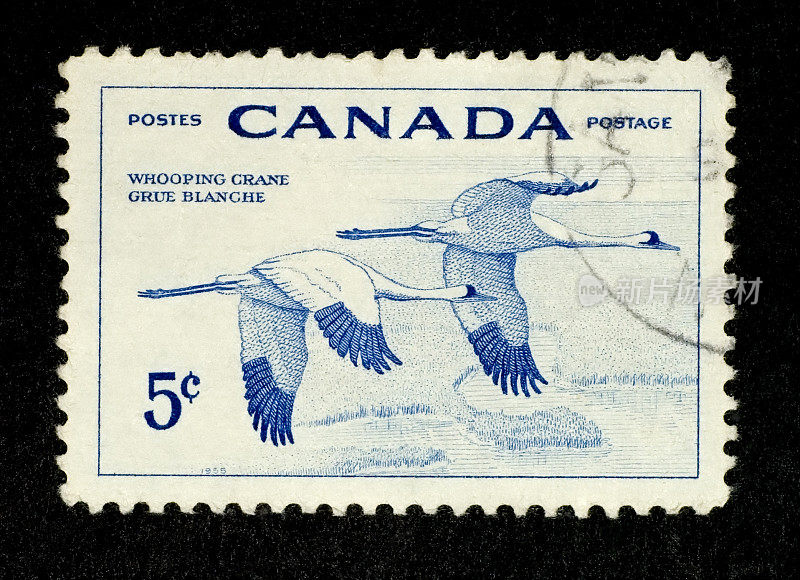邮票:白鹤(加拿大)