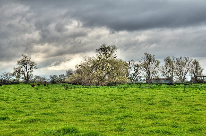 风暴中的牧场(HDR)