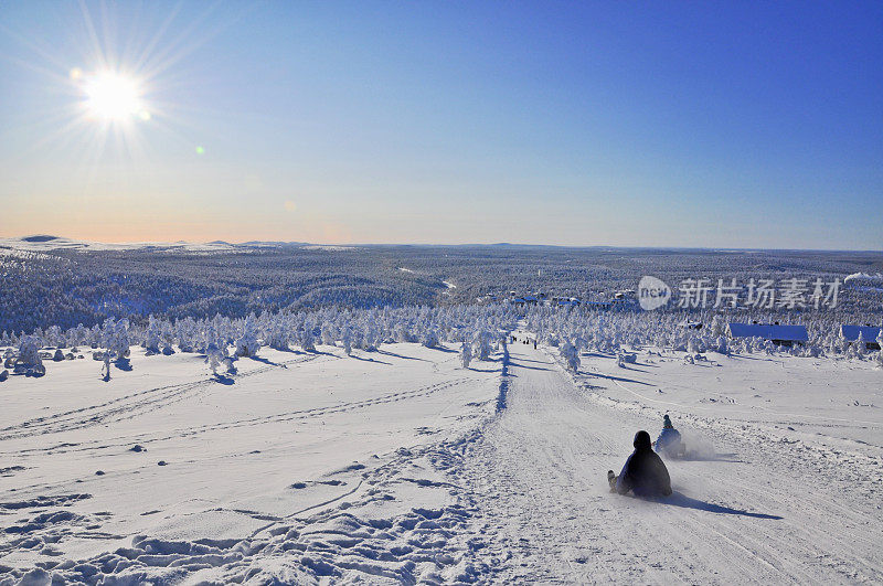 冬天滑雪，白雪覆盖的树木和风景