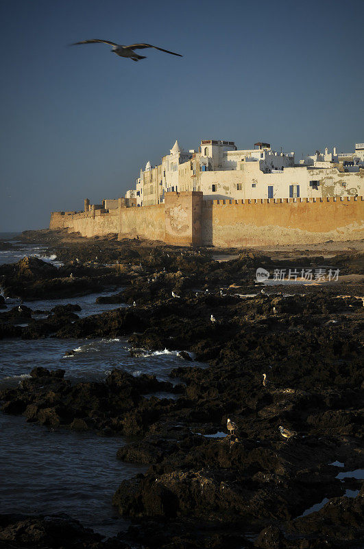 海景与蓝天建筑