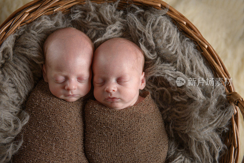 同卵双胞胎睡觉