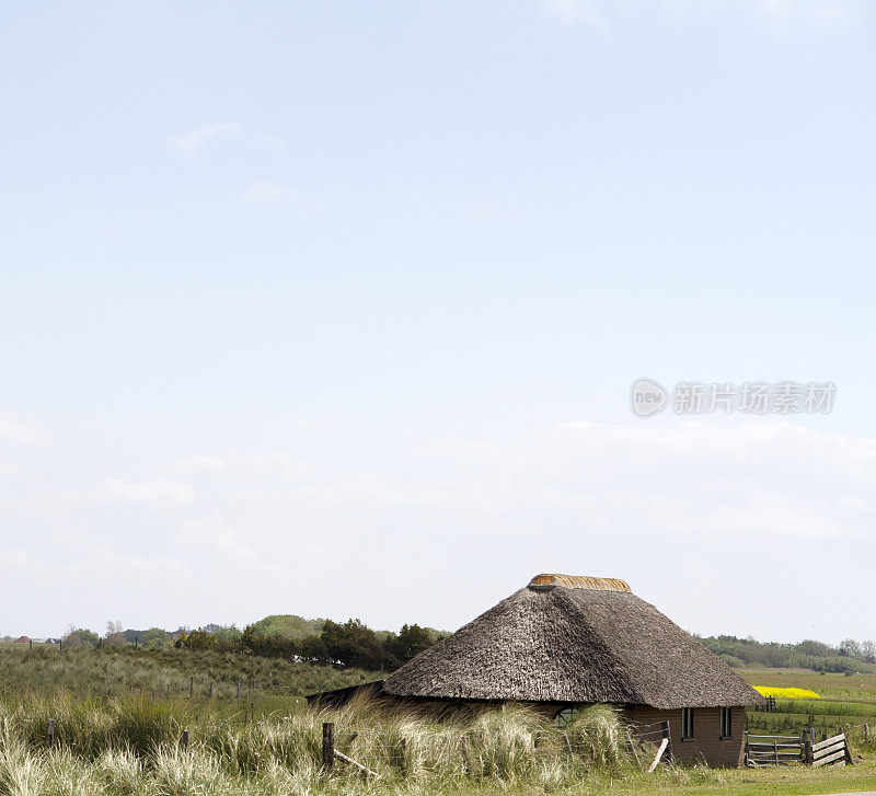 Texel岛的羊圈