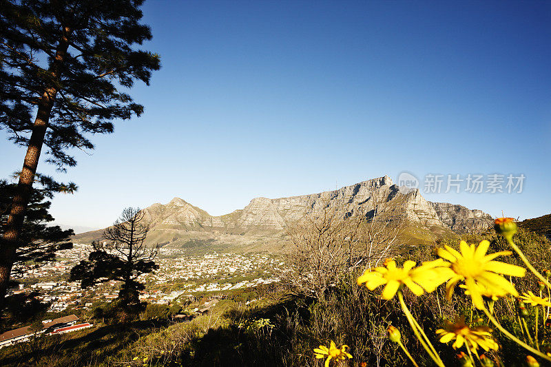 南非的桌山，开普敦就在它的脚下