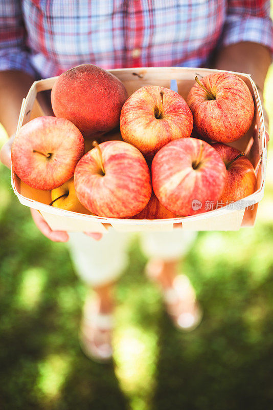 在秋天拿着一篮苹果