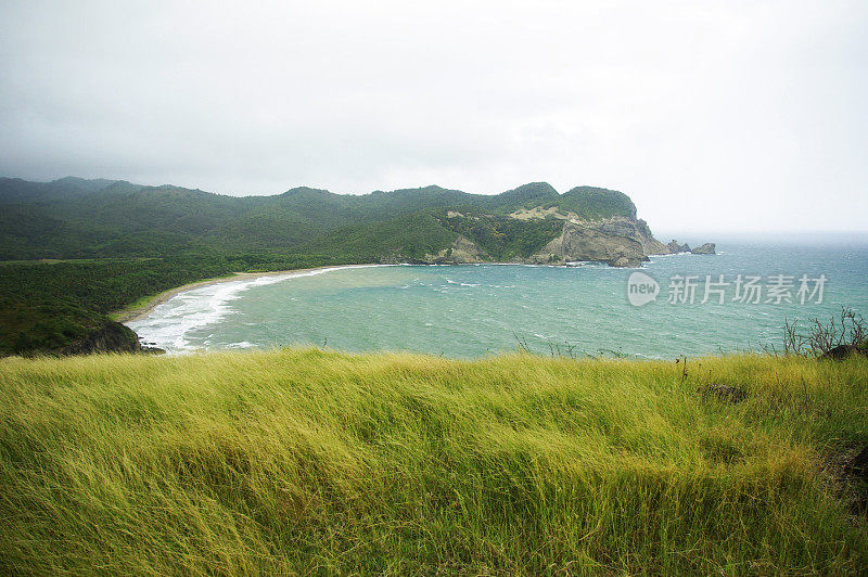 崎岖的海岸景观和草地