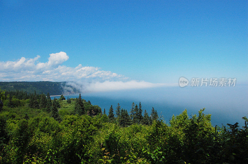 海洋和森林鸟瞰图