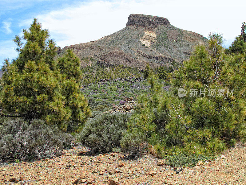 埃尔泰德国家公园(特内里费)的火山景观